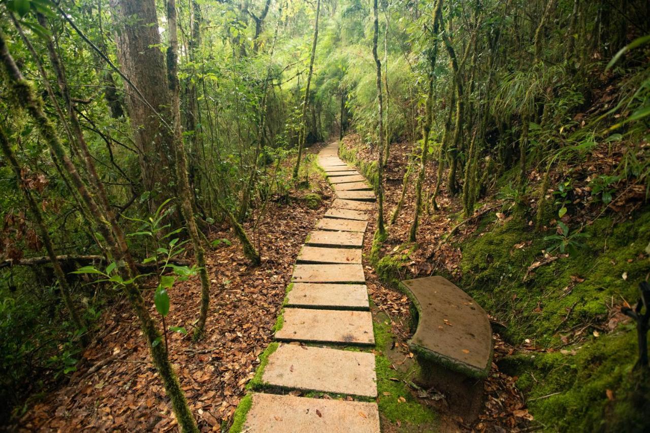 Dantica Cloud Forest Lodge San Gerardo de Dota Bagian luar foto