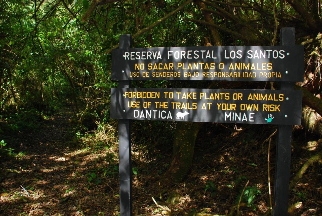 Dantica Cloud Forest Lodge San Gerardo de Dota Bagian luar foto
